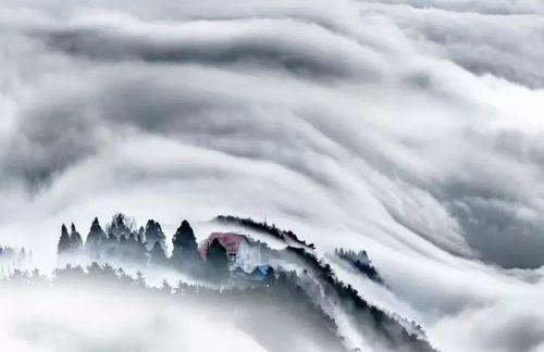 以食之契约庐山云雾，探索美食世界的旅程（一个充满挑战与惊喜的游戏）