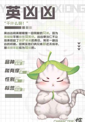 《以灵猫传灵猫》（从游戏中获取灵猫）